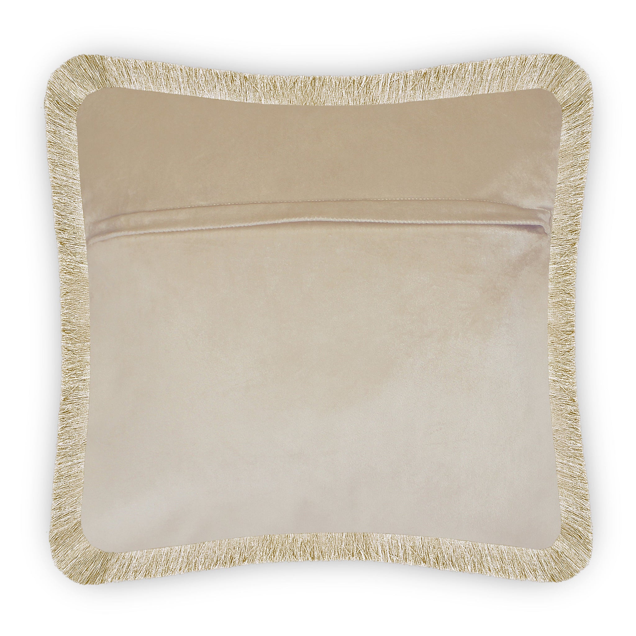 Velvet Dragonfly Embroidery Cushion Cover Home Decor Insect Decorative Pillowcase Cute Animal Throw Pillow with Golden Fringe for Bedroom Living Room Beige Size 45x45 cm (18x18 Inches)