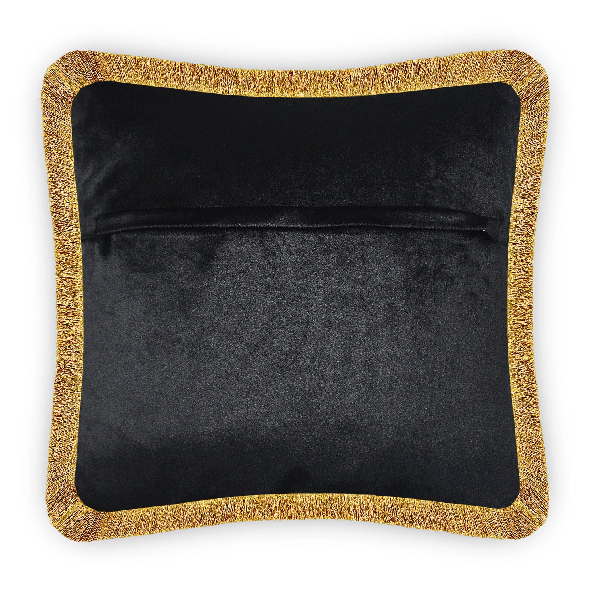 Black Velvet Cushion Cover Colorful Feather Decorative Pillowcase Home Decor Throw Pillow for Sofa Chair Living Room 45x45 cm 18x18 In