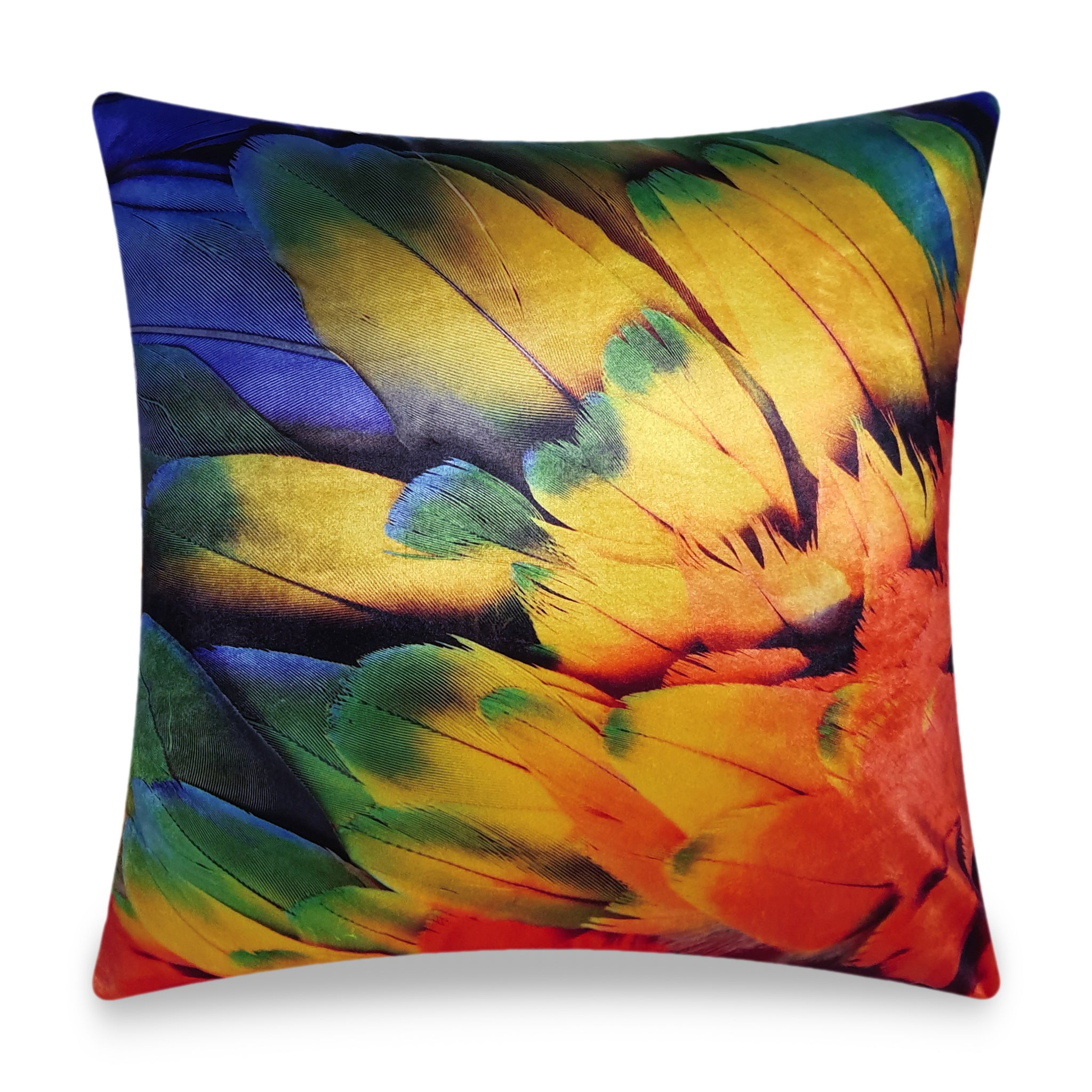 Colorful Velvet Cushion Cover Macaw Bird Feathers Decorative Pillowcase Modern Home Decor Throw Pillow for Sofa Chair 45x45 cm 