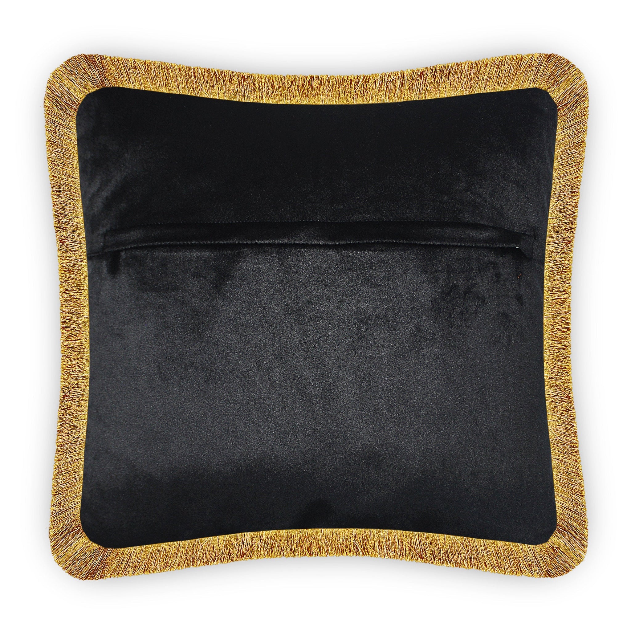 Cushion Cover Velvet Colorful Feather Decorative Pillowcase Embroidery Throw Pillow for Sofa Chair Bedroom Living Room Black 45x45 cm (18x18 Inches)